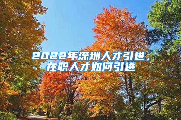 2022年深圳人才引进，在职人才如何引进