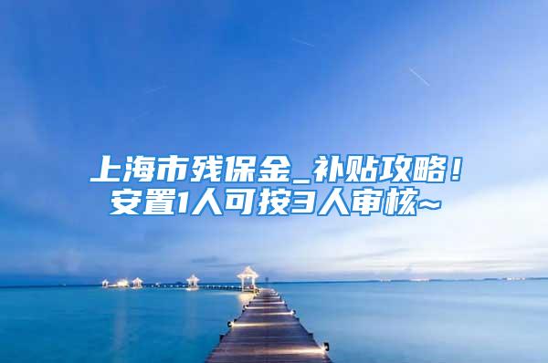 上海市残保金_补贴攻略！安置1人可按3人审核~