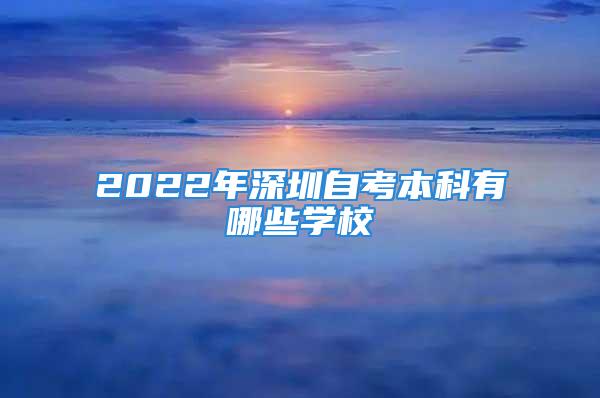 2022年深圳自考本科有哪些学校