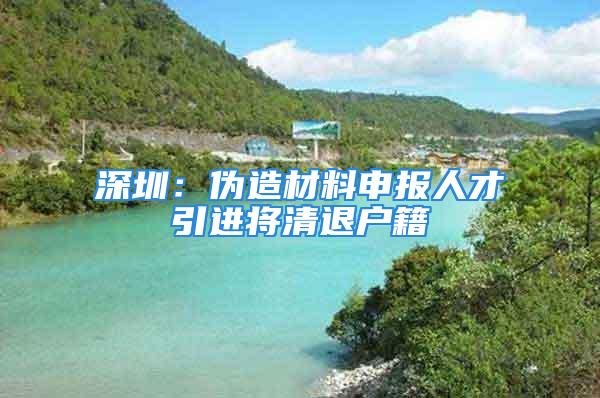 深圳：伪造材料申报人才引进将清退户籍