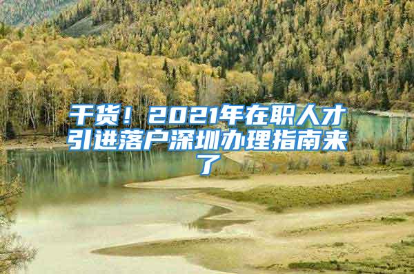 干货！2021年在职人才引进落户深圳办理指南来了