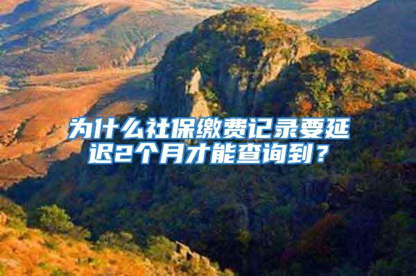 为什么社保缴费记录要延迟2个月才能查询到？