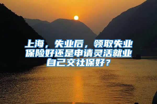 上海，失业后，领取失业保险好还是申请灵活就业自己交社保好？