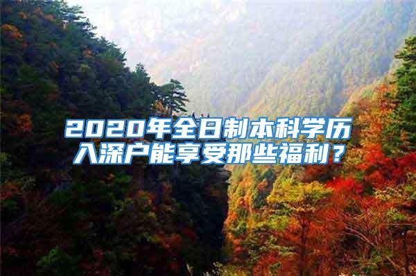 2020年全日制本科学历入深户能享受那些福利？