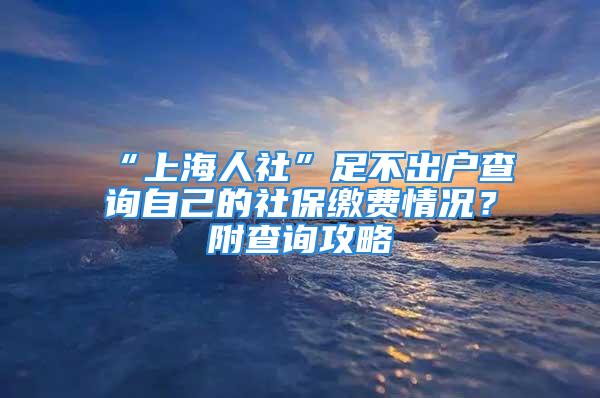 “上海人社”足不出户查询自己的社保缴费情况？附查询攻略