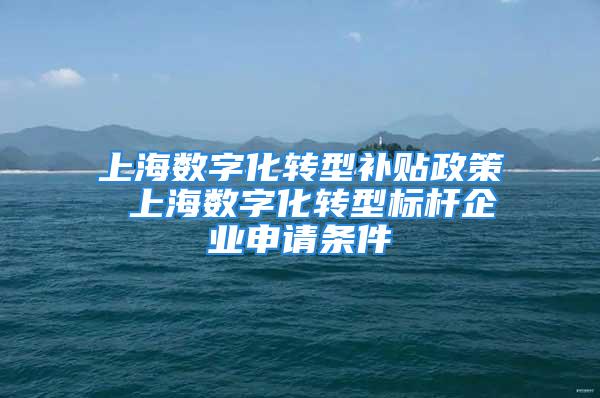 上海数字化转型补贴政策 上海数字化转型标杆企业申请条件