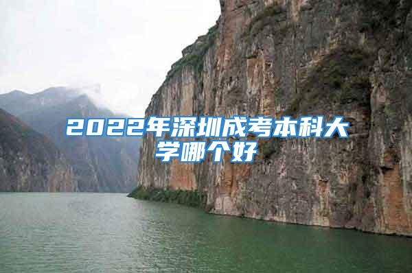 2022年深圳成考本科大学哪个好