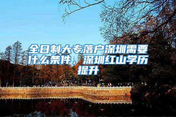 全日制大专落户深圳需要什么条件，深圳红山学历提升