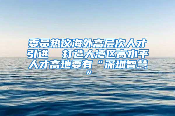 委员热议海外高层次人才引进  打造大湾区高水平人才高地要有“深圳智慧”