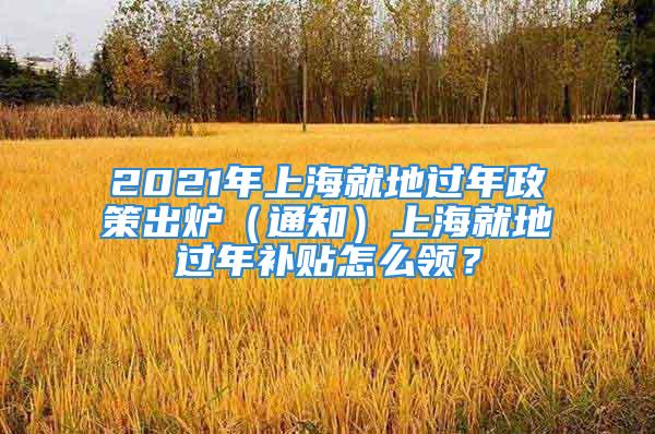 2021年上海就地过年政策出炉（通知）上海就地过年补贴怎么领？