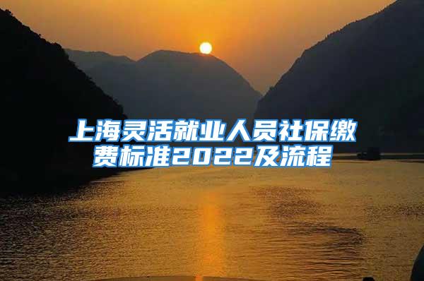 上海灵活就业人员社保缴费标准2022及流程