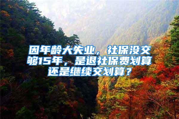 因年龄大失业，社保没交够15年，是退社保费划算还是继续交划算？