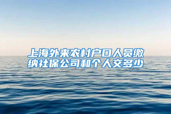 上海外来农村户口人员缴纳社保公司和个人交多少