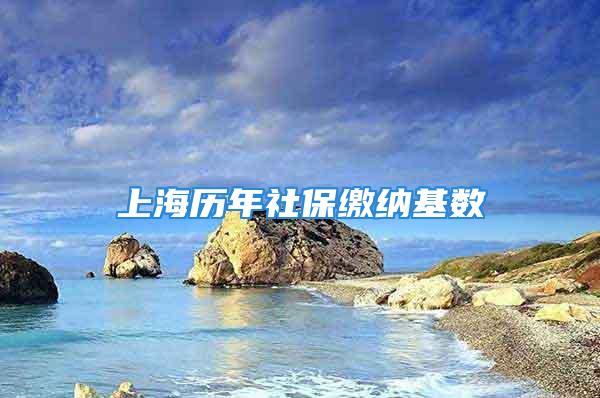 上海历年社保缴纳基数