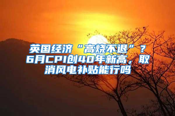 英国经济“高烧不退”？6月CPI创40年新高，取消风电补贴能行吗