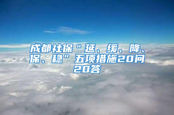 成都社保＂延、缓、降、保、稳”五项措施20问20答