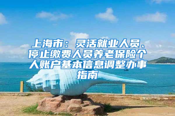 上海市：灵活就业人员、停止缴费人员养老保险个人账户基本信息调整办事指南