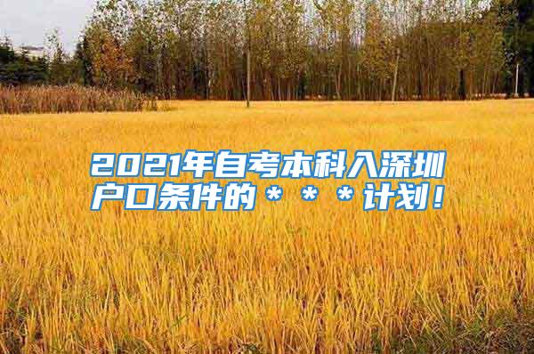 2021年自考本科入深圳户口条件的＊＊＊计划！