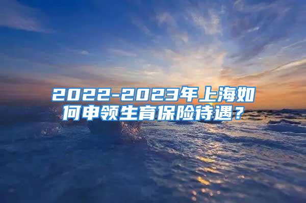 2022-2023年上海如何申领生育保险待遇？