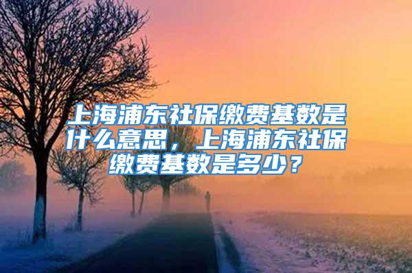 上海浦东社保缴费基数是什么意思，上海浦东社保缴费基数是多少？