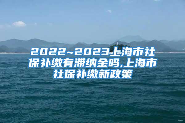 2022~2023上海市社保补缴有滞纳金吗,上海市社保补缴新政策