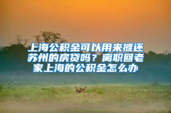 上海公积金可以用来摊还苏州的房贷吗？离职回老家上海的公积金怎么办