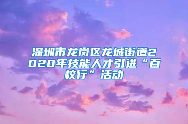 深圳市龙岗区龙城街道2020年技能人才引进“百校行”活动