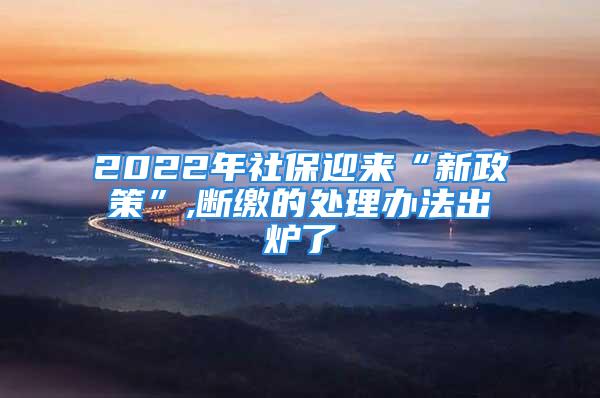 2022年社保迎来“新政策”,断缴的处理办法出炉了