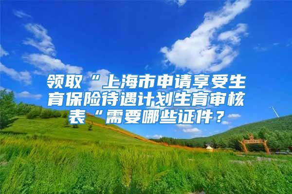 领取“上海市申请享受生育保险待遇计划生育审核表“需要哪些证件？