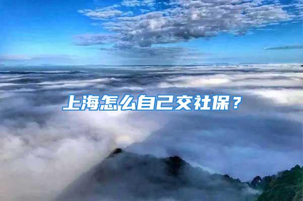 上海怎么自己交社保？