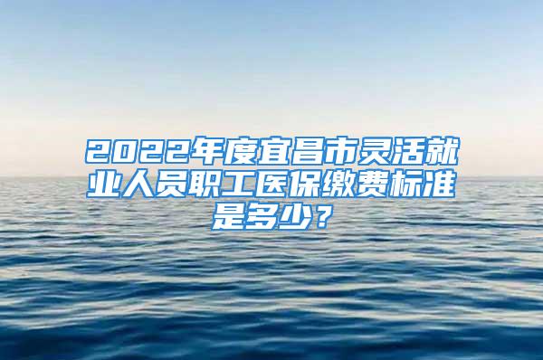 2022年度宜昌市灵活就业人员职工医保缴费标准是多少？