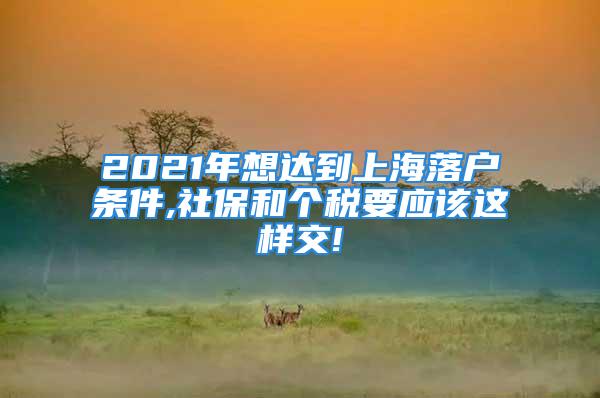 2021年想达到上海落户条件,社保和个税要应该这样交!