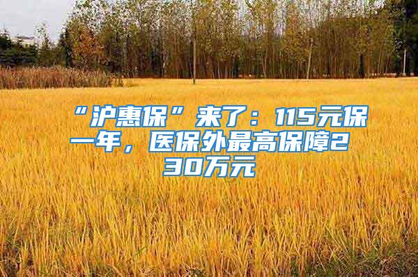 “沪惠保”来了：115元保一年，医保外最高保障230万元