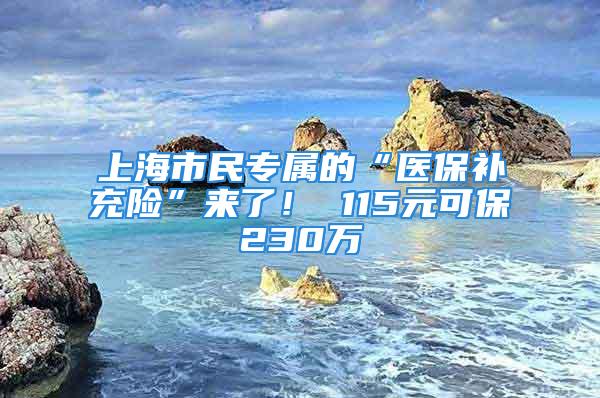 上海市民专属的“医保补充险”来了！ 115元可保230万→