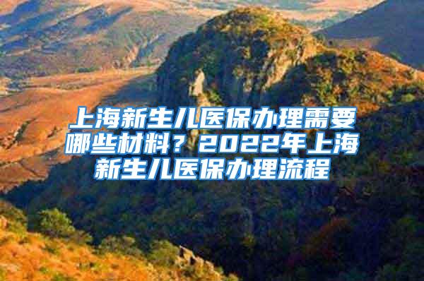 上海新生儿医保办理需要哪些材料？2022年上海新生儿医保办理流程