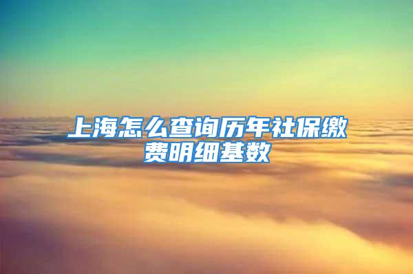 上海怎么查询历年社保缴费明细基数