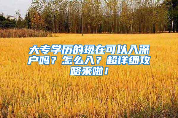 大专学历的现在可以入深户吗？怎么入？超详细攻略来啦！