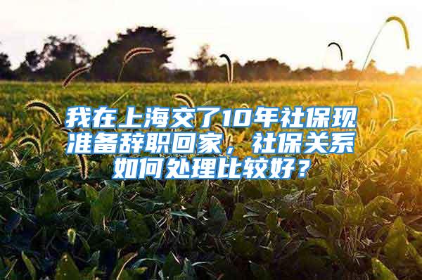 我在上海交了10年社保现准备辞职回家，社保关系如何处理比较好？