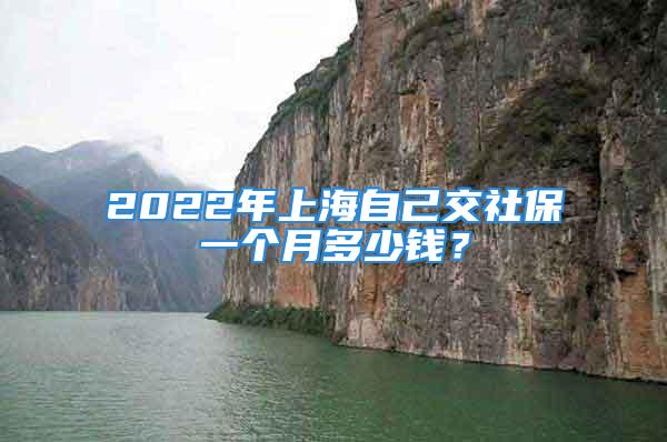 2022年上海自己交社保一个月多少钱？