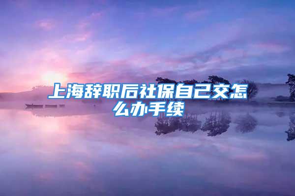 上海辞职后社保自己交怎么办手续