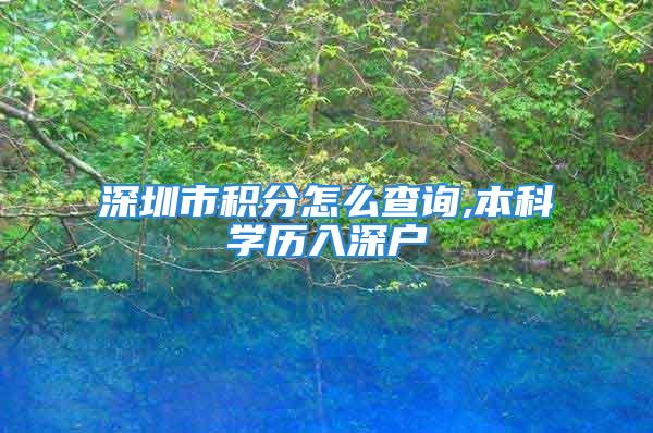 深圳市积分怎么查询,本科学历入深户