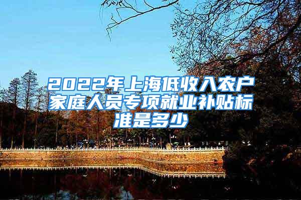 2022年上海低收入农户家庭人员专项就业补贴标准是多少