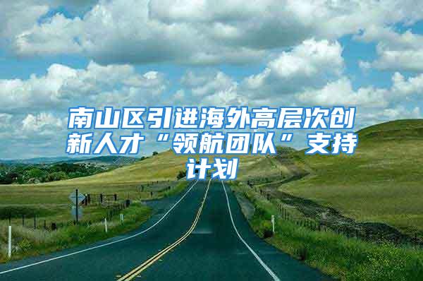 南山区引进海外高层次创新人才“领航团队”支持计划