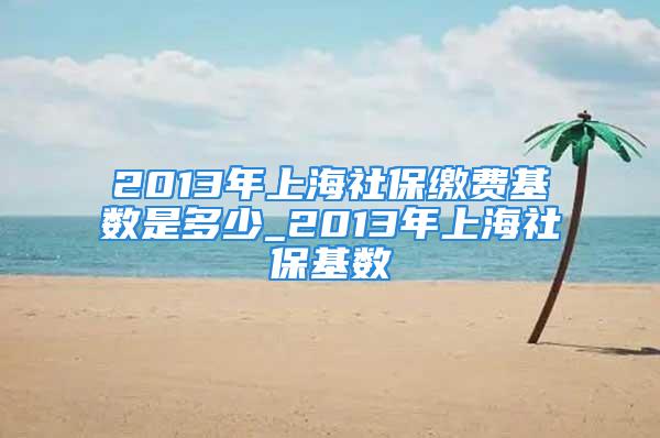 2013年上海社保缴费基数是多少_2013年上海社保基数