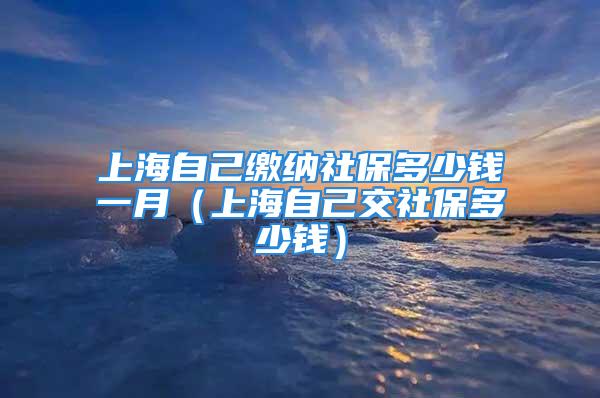 上海自己缴纳社保多少钱一月（上海自己交社保多少钱）