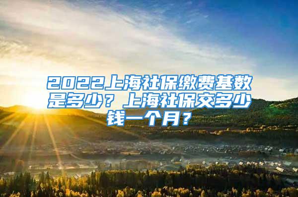 2022上海社保缴费基数是多少？上海社保交多少钱一个月？