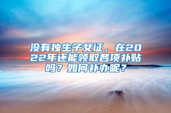 没有独生子女证，在2022年还能领取各项补贴吗？如何补办呢？