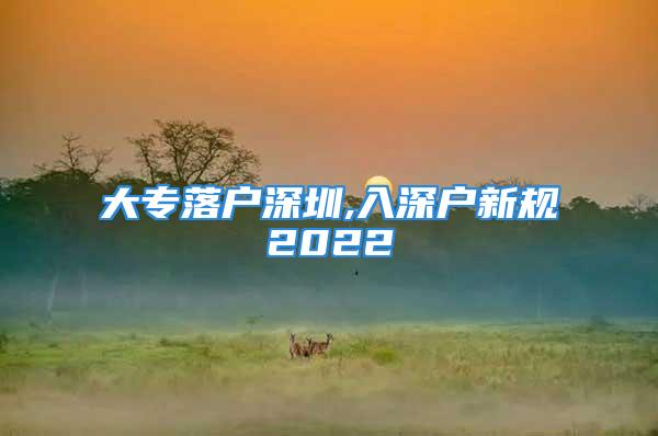 大专落户深圳,入深户新规2022