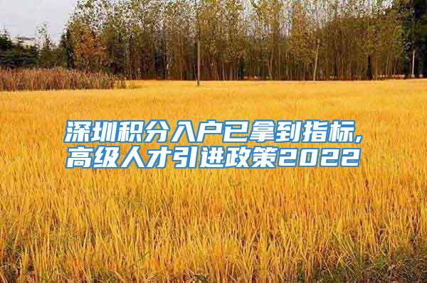 深圳积分入户已拿到指标,高级人才引进政策2022