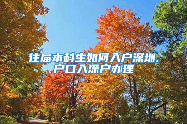 往届本科生如何入户深圳,户口入深户办理